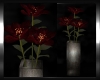 Shellan's Red Flowers