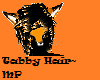 Tabby Hair~