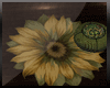 [ADR]Paraty flower rug