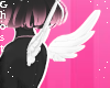 Val Wings V2
