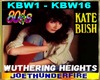 Kate Bush Wuthering