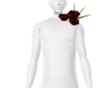 Addon Rose Spin