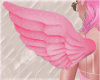Wings Pink