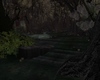 C*mysterious dark forest