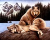 Wolf Pic 3