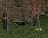 ^Trop forest hammock 2