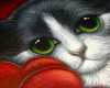 !K! CAT FRAMED ART