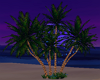 Cabana Lighted Palms