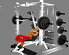 SL* Weightlifting Gym