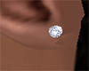 Small Stud earrings