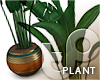 TP Plant A - Oaken