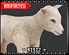 Pets Animated Barn Lamb