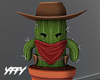 Cactus Cowboy