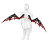 lace wings 1