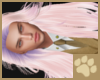 ~AM~ KittyFly P HairM v1