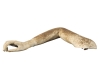 [ML]Arm Mannequin