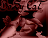 (RN) BoSy CaT ToP II