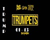 TRUMPETS_ft Sean Paul