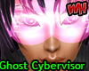 Ghost Cybervisor