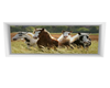 Wild Horses