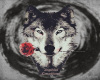 Wolf Nature