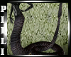 Naga Snake Tail  Female