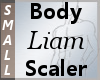 Body Scaler Liam S