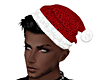 SANTA CAP + HAIR