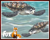 Fox~ Sea Turtles 2d