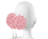 粉蝶accL