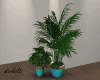 Turquoise Vase Plant