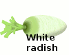 :|~ Harvest White Radish