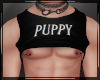 + Puppy M