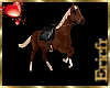 [Efr] Horse Ride 5