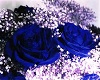 Blue Rose 01