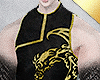✶Drache Gold Tunic