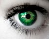 Emerald Green Eyes [SotM
