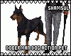 Doberman Dog Action Pet