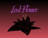 Lost Flower