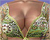 Anna Set 2
