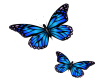Blue Wall Butterflies
