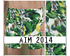 AIM [Tropicana Shorts]