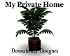 my private plant