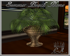 SBH Potted Palm Plant