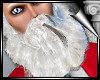 d3✠ Xmas Prince Beard