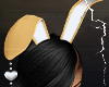 DX Gold Easter V1