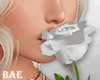B| White Rose V-Day