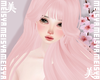 美 Richan