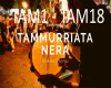 Tammurriata Nera