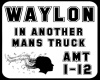 Waylon-amt